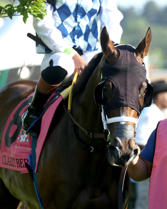 CLARET BERET - Apple Blossom Handicap G1 - 04-11-26 - R10 - OP - Paddock 01 - Coady Media - Kurtis Coady Photography
