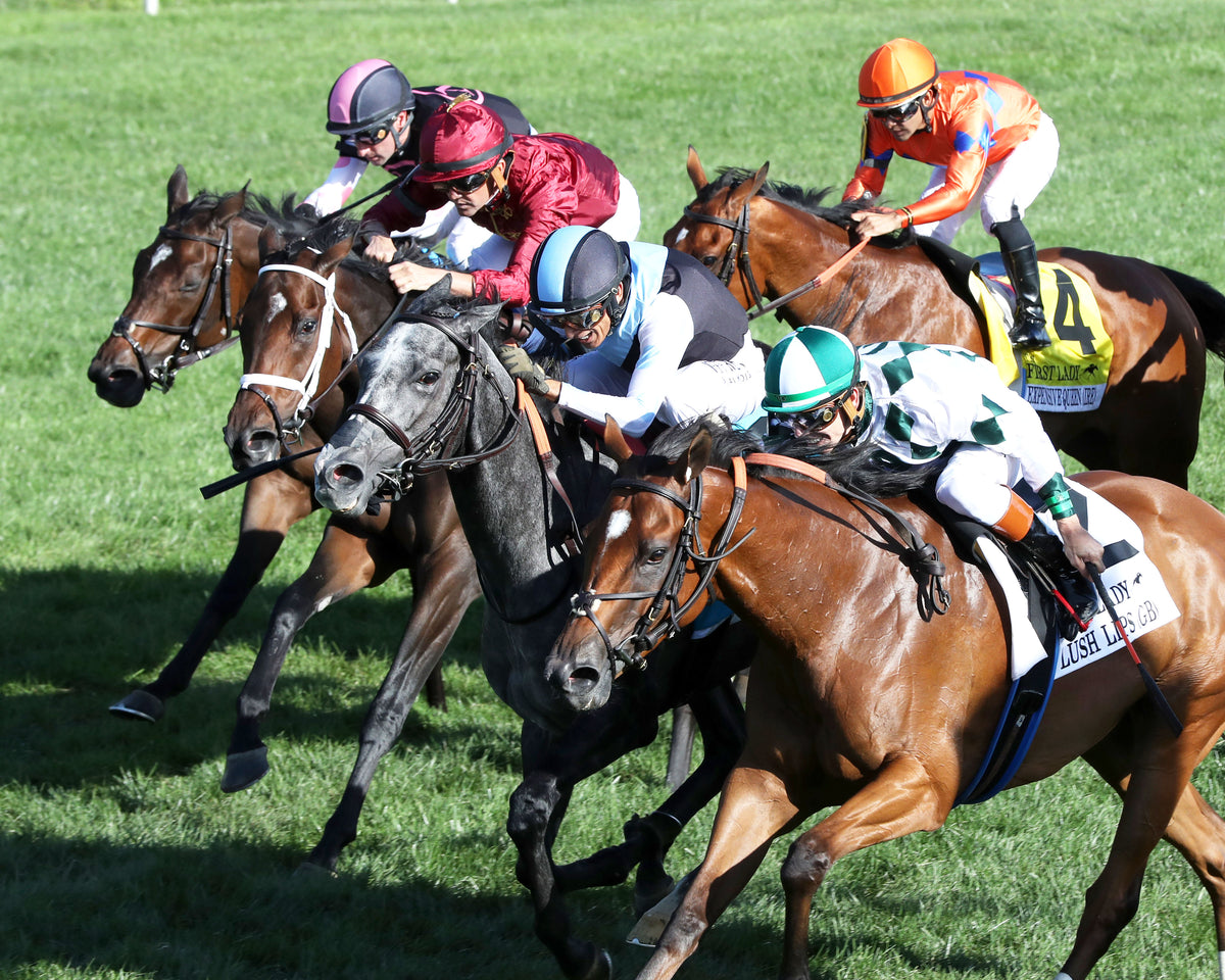 CLASSIC Q - 100326 - Race 08 - KEE  The First Lady G1 - Inside Finish 01