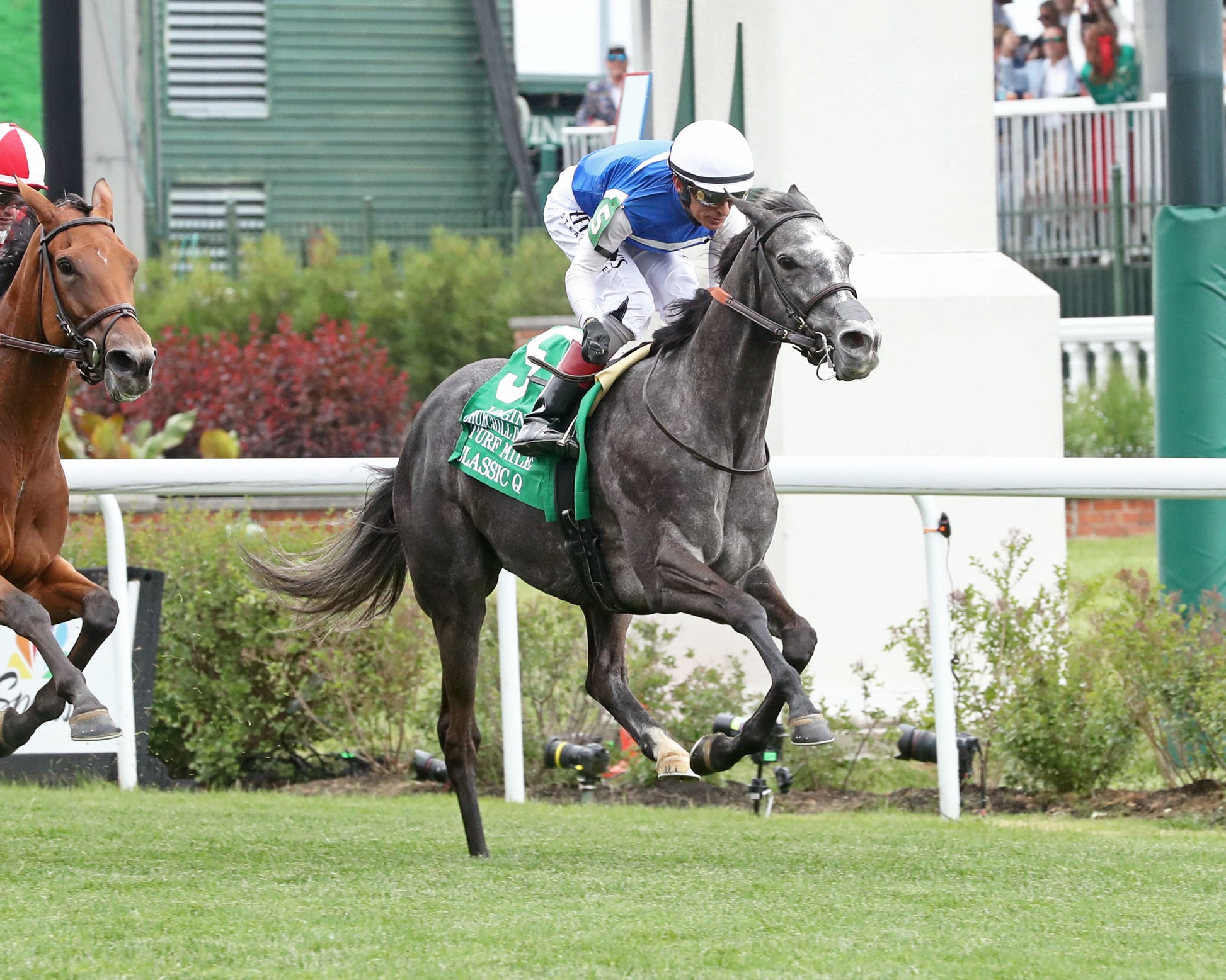 CLASSIC Q - The Longines Churchill Distaff Turf Mile G2 - 05-02-26 - R07 - Churchill Downs - Finish 3 - Coady Media - Kurtis Coady Photography
