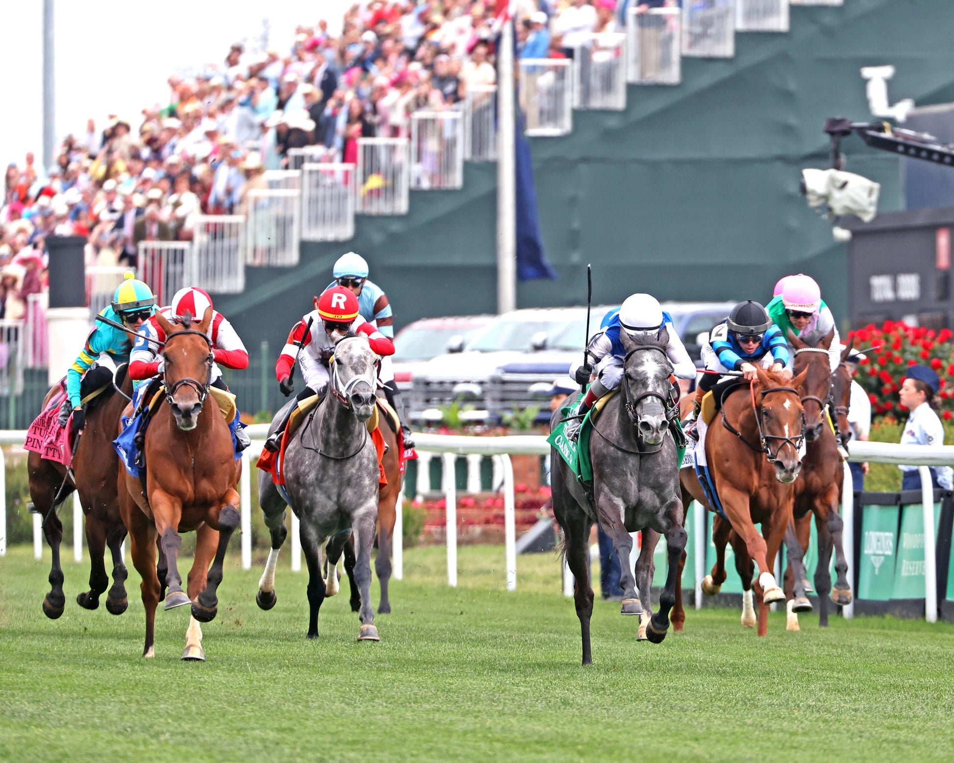 CLASSIC Q - The Longines Churchill Distaff Turf Mile G2 - 05-02-26 - R07 - Churchill Downs - Stretch Drive 01 - Coady Media - Kurtis Coady Photography