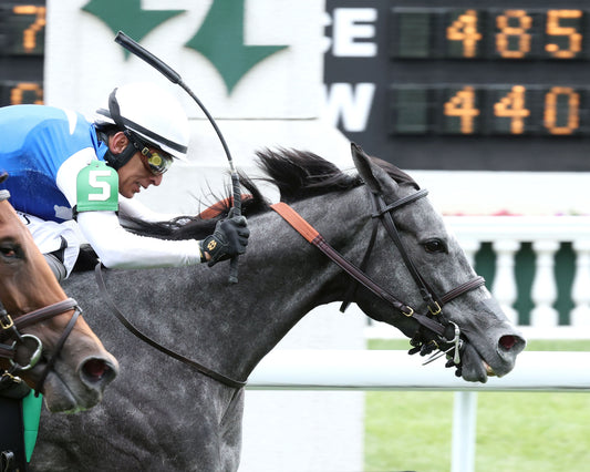 CLASSIC Q - The Longines Churchill Distaff Turf Mile G2 - 05-02-26 - R07 - Churchill Downs - Tight Finish 01 - Coady Media - Kurtis Coady Photography