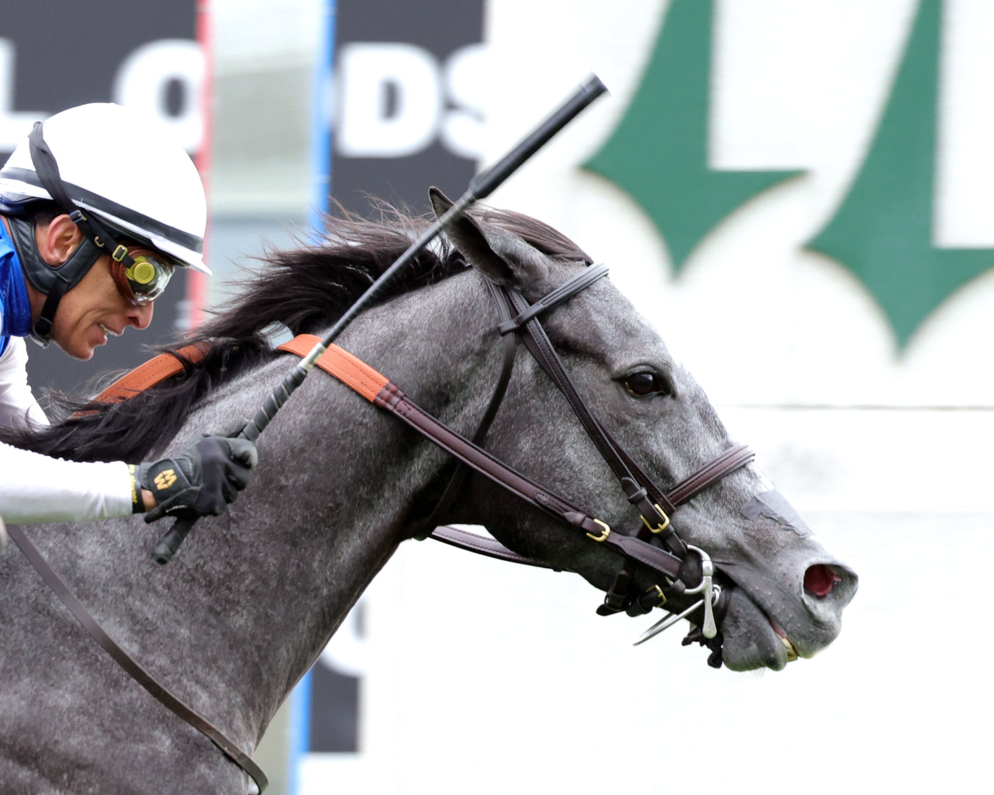 CLASSIC Q - The Longines Churchill Distaff Turf Mile G2 - 05-02-26 - R07 - Churchill Downs - Tight Finish 02 - Coady Media - Kurtis Coady Photography