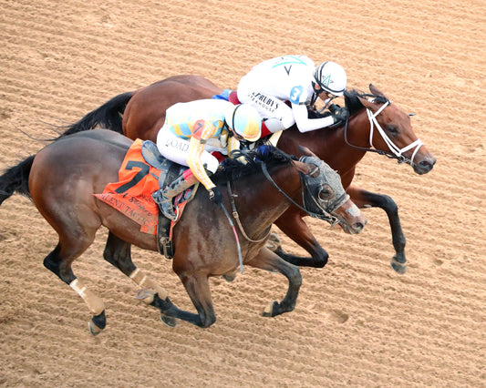 CLASS PRESIDENT - Rebel Stakes G2 - 03-01-26 - R11 - OP - Aerial Finish 01 - Coady Media - Kurtis Coady Photography