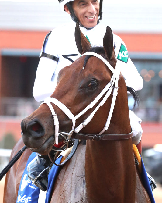 CLASS PRESIDENT - Rebel Stakes G2 - 03-01-26 - R11 - OP - Come Back 03 - Coady Media - Kurtis Coady Photography