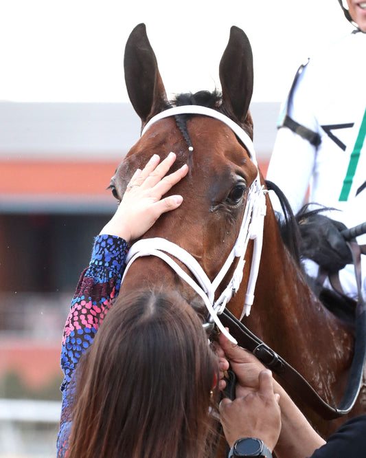 CLASS PRESIDENT - Rebel Stakes G2 - 03-01-26 - R11 - OP - Come Back 04 - Coady Media - Kurtis Coady Photography