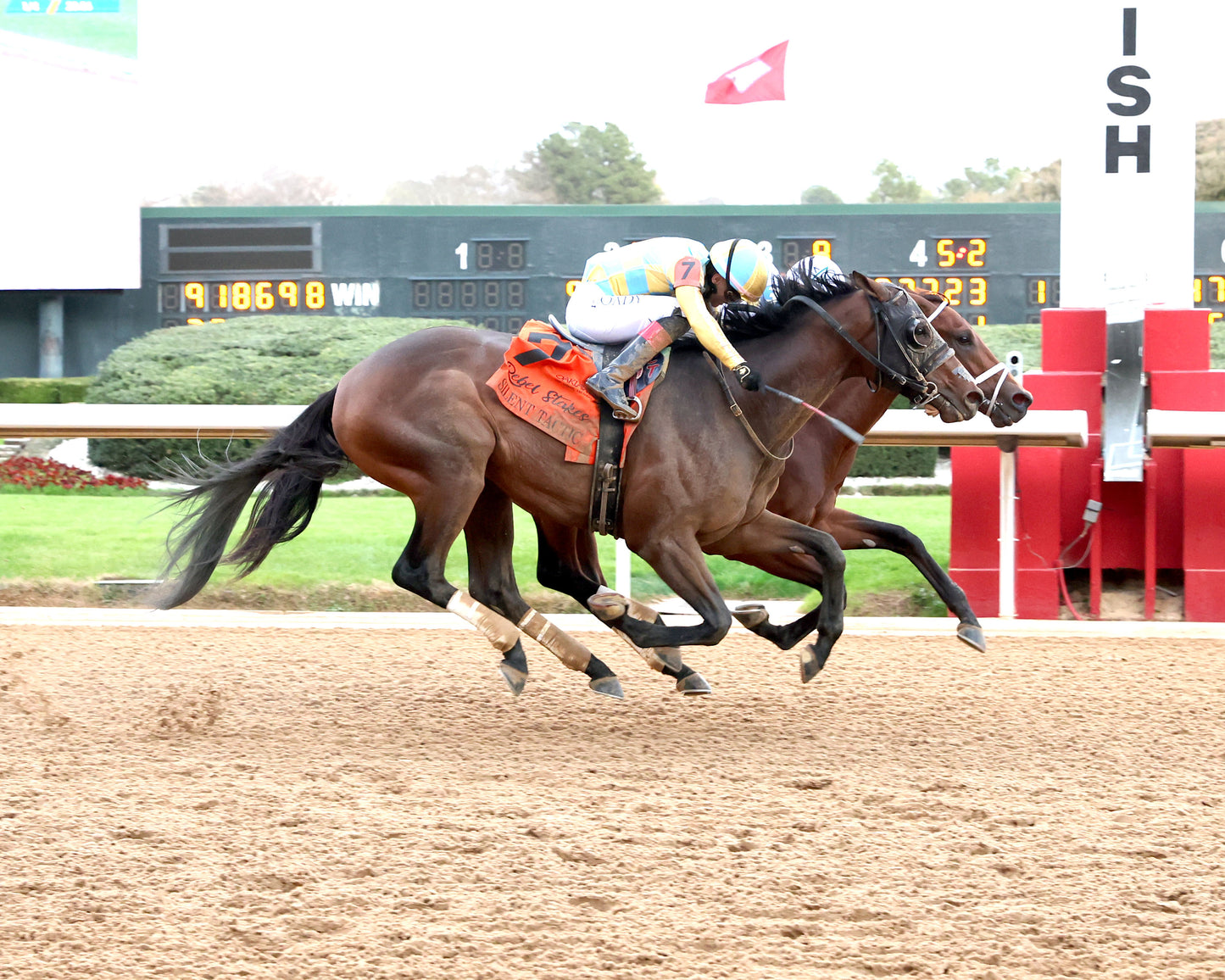 CLASS PRESIDENT - Rebel Stakes G2 - 03-01-26 - R11 - OP - Finish 01 - Coady Media - Kurtis Coady Photography