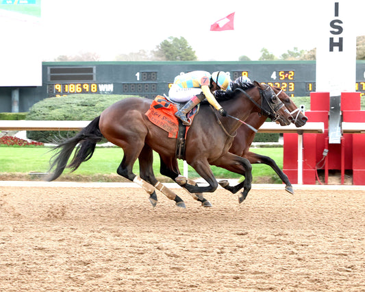 CLASS PRESIDENT - Rebel Stakes G2 - 03-01-26 - R11 - OP - Finish 01 - Coady Media - Kurtis Coady Photography