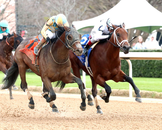 CLASS PRESIDENT - Rebel Stakes G2 - 03-01-26 - R11 - OP - Finish 02 - Coady Media - Kurtis Coady Photography