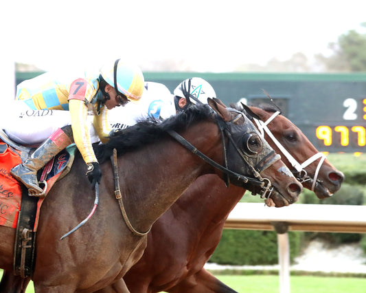 CLASS PRESIDENT - Rebel Stakes G2 - 03-01-26 - R11 - OP - Finish 03 - Coady Media - Kurtis Coady Photography