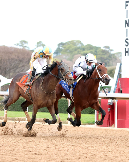 CLASS PRESIDENT - Rebel Stakes G2 - 03-01-26 - R11 - OP - Finish 04 - Coady Media - Kurtis Coady Photography