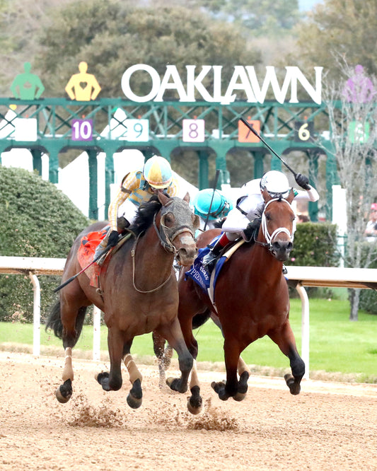 CLASS PRESIDENT - Rebel Stakes G2 - 03-01-26 - R11 - OP - Finish 05 - Coady Media - Kurtis Coady Photography