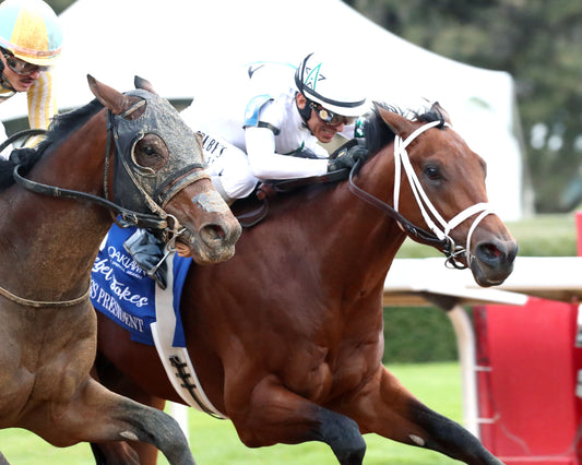 CLASS PRESIDENT - Rebel Stakes G2 - 03-01-26 - R11 - OP - Finish 06 - Coady Media - Kurtis Coady Photography
