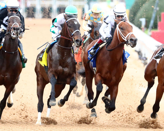 CLASS PRESIDENT - Rebel Stakes G2 - 03-01-26 - R11 - OP - First Turn 02 - Coady Media - Kurtis Coady Photography