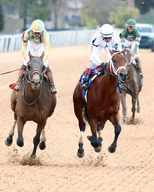 CLASS PRESIDENT - Rebel Stakes G2 - 03-01-26 - R11 - OP - Gallop Out 01 - Coady Media - Kurtis Coady Photography