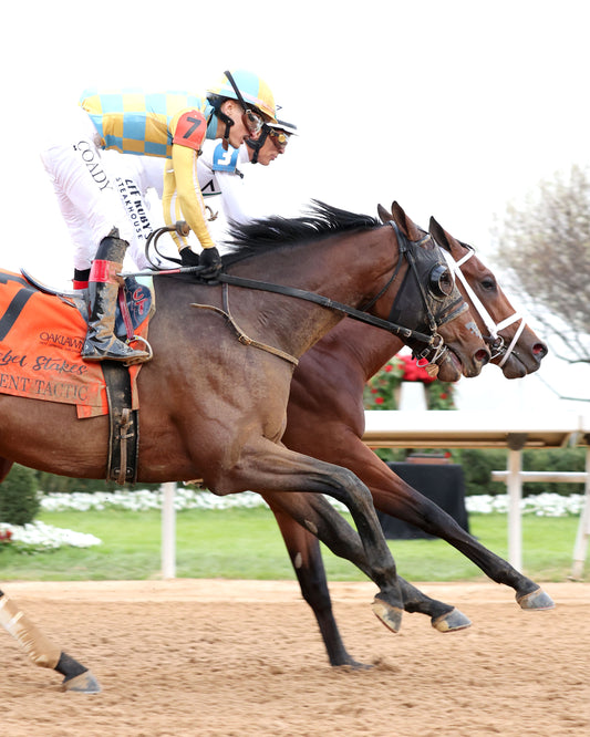 CLASS PRESIDENT - Rebel Stakes G2 - 03-01-26 - R11 - OP - Gallop Out 02 - Coady Media - Kurtis Coady Photography