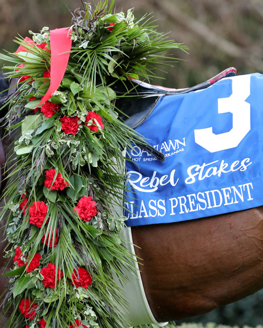 CLASS PRESIDENT - Rebel Stakes G2 - 03-01-26 - R11 - OP - Garland 01 - Coady Media - Kurtis Coady Photography
