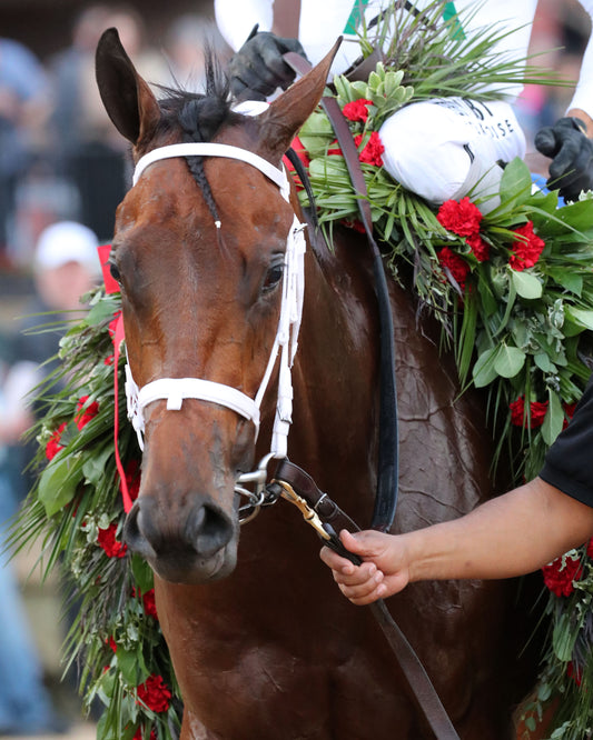 CLASS PRESIDENT - Rebel Stakes G2 - 03-01-26 - R11 - OP - Garland 02 - Coady Media - Kurtis Coady Photography