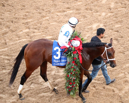 CLASS PRESIDENT - Rebel Stakes G2 - 03-01-26 - R11 - OP - Garland 06 - Coady Media - Kurtis Coady Photography
