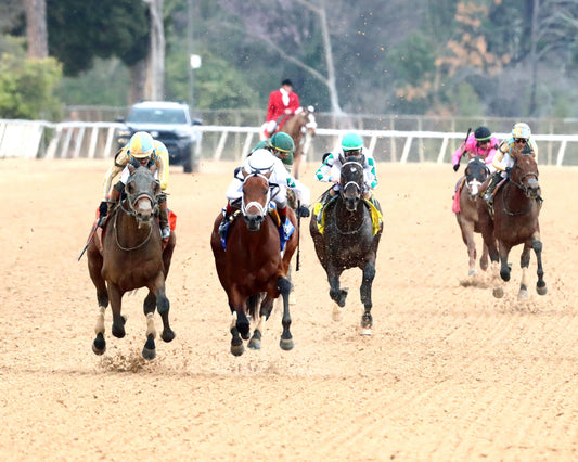 CLASS PRESIDENT - Rebel Stakes G2 - 03-01-26 - R11 - OP - Head On 01 - Coady Media - Kurtis Coady Photography