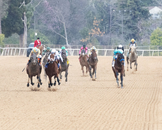 CLASS PRESIDENT - Rebel Stakes G2 - 03-01-26 - R11 - OP - Head On 02 - Coady Media - Kurtis Coady Photography
