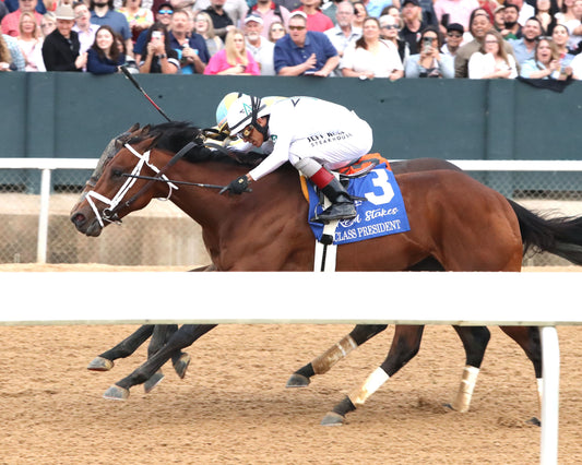 CLASS PRESIDENT - Rebel Stakes G2 - 03-01-26 - R11 - OP - Inside Finish 01 - Coady Media - Kurtis Coady Photography