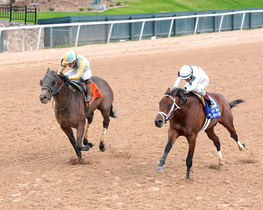 CLASS PRESIDENT - Rebel Stakes G2 - 03-01-26 - R11 - OP - Inside Finish 04 - Coady Media - Kurtis Coady Photography