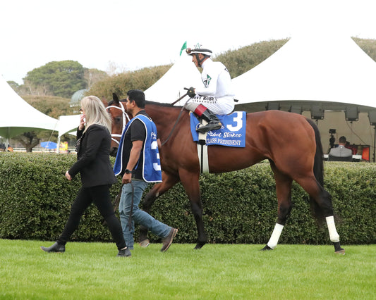 CLASS PRESIDENT - Rebel Stakes G2 - 03-01-26 - R11 - OP - Paddock 02 - Coady Media - Kurtis Coady Photography