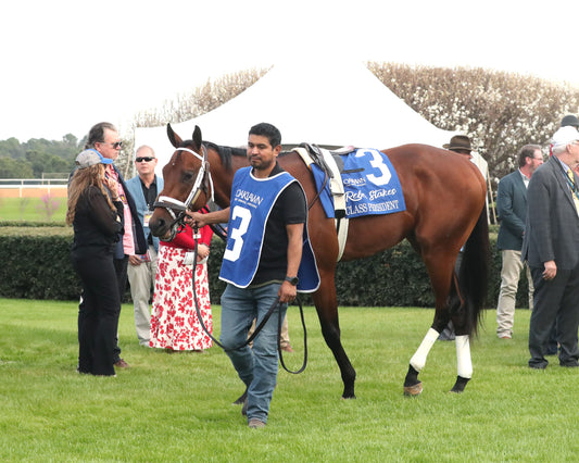 CLASS PRESIDENT - Rebel Stakes G2 - 03-01-26 - R11 - OP - Paddock 03 - Coady Media - Kurtis Coady Photography