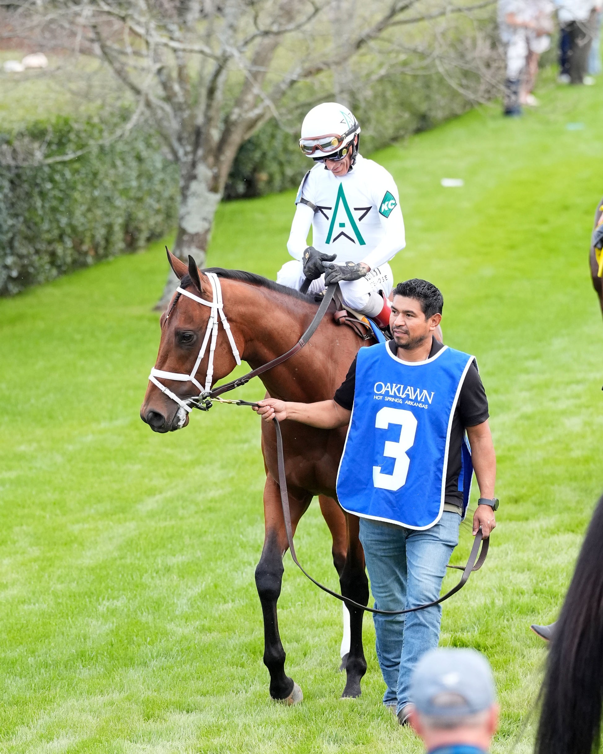 CLASS PRESIDENT - Rebel Stakes G2 - 03-01-26 - R11 - OP - Paddock 07 - Coady Media - Kurtis Coady Photography