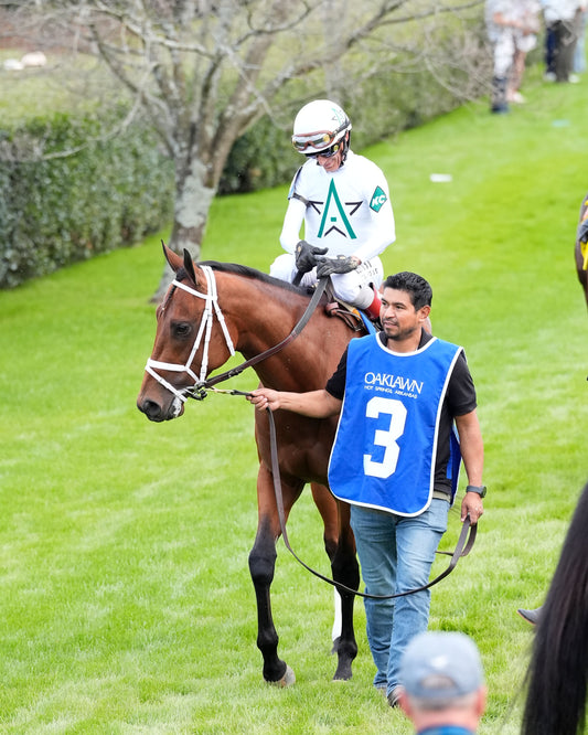 CLASS PRESIDENT - Rebel Stakes G2 - 03-01-26 - R11 - OP - Paddock 07 - Coady Media - Kurtis Coady Photography