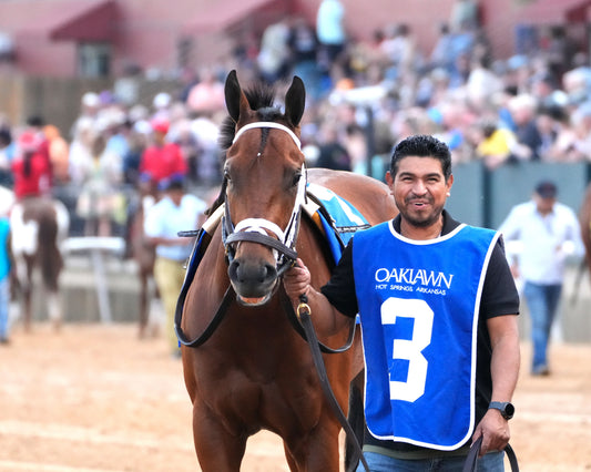 CLASS PRESIDENT - Rebel Stakes G2 - 03-01-26 - R11 - OP - Paddock 08 - Coady Media - Kurtis Coady Photography