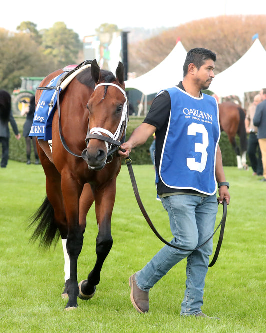CLASS PRESIDENT - Rebel Stakes G2 - 03-01-26 - R11 - OP - Paddock 09 - Coady Media - Kurtis Coady Photography