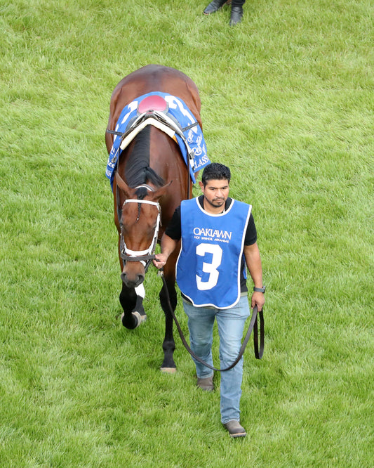 CLASS PRESIDENT - Rebel Stakes G2 - 03-01-26 - R11 - OP - Paddock 10 - Coady Media - Kurtis Coady Photography