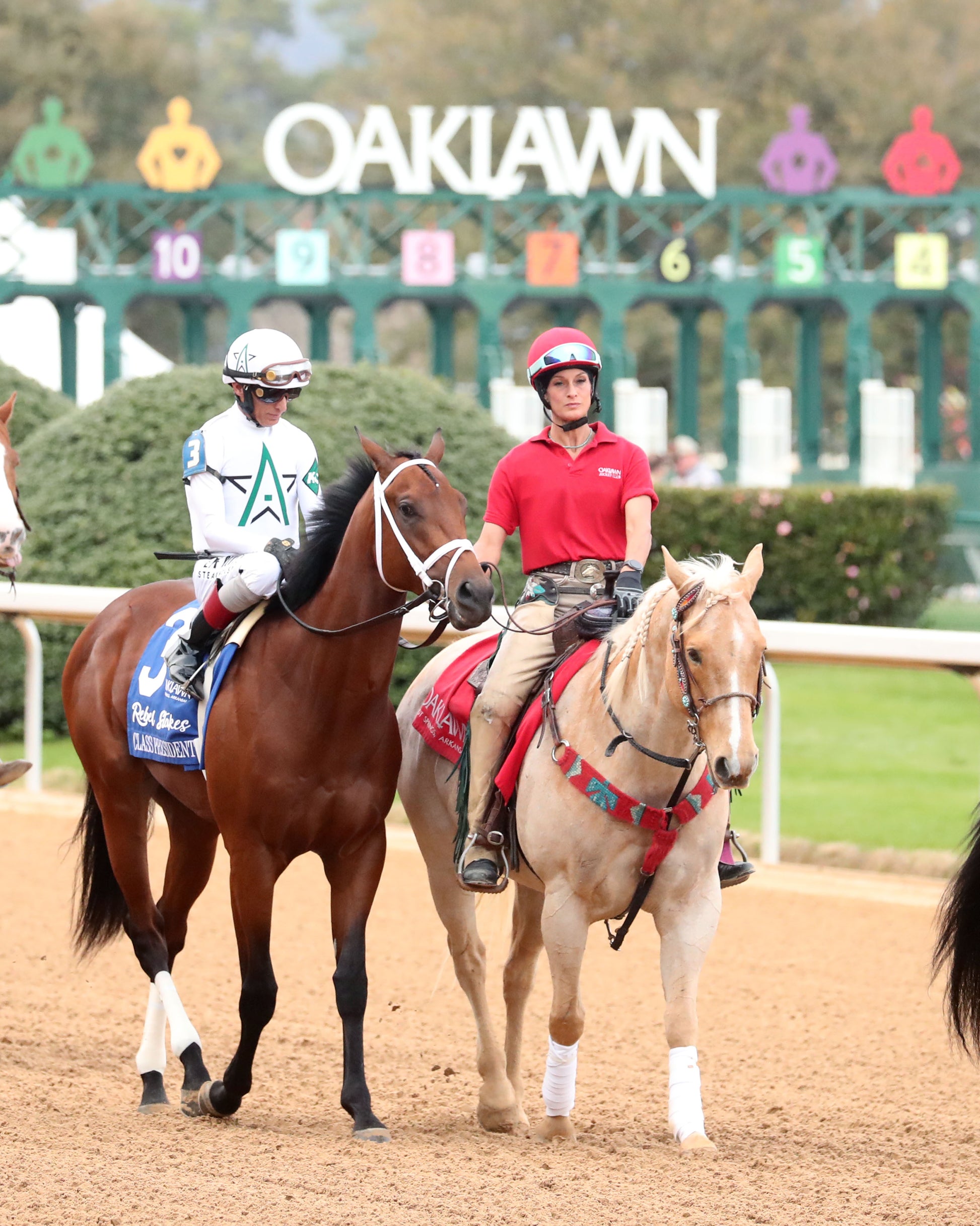 CLASS PRESIDENT - Rebel Stakes G2 - 03-01-26 - R11 - OP - Post Parade 01 - Coady Media - Kurtis Coady Photography