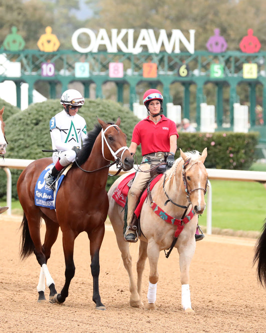 CLASS PRESIDENT - Rebel Stakes G2 - 03-01-26 - R11 - OP - Post Parade 01 - Coady Media - Kurtis Coady Photography