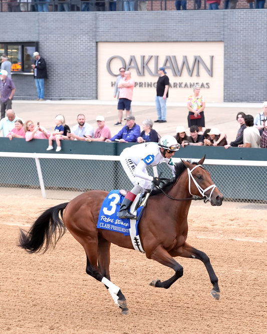 CLASS PRESIDENT - Rebel Stakes G2 - 03-01-26 - R11 - OP - Post Parade 03 - Coady Media - Kurtis Coady Photography