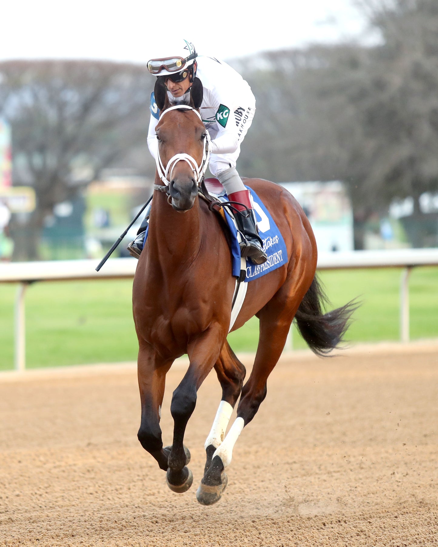 CLASS PRESIDENT - Rebel Stakes G2 - 03-01-26 - R11 - OP - Post Parade 04 - Coady Media - Kurtis Coady Photography