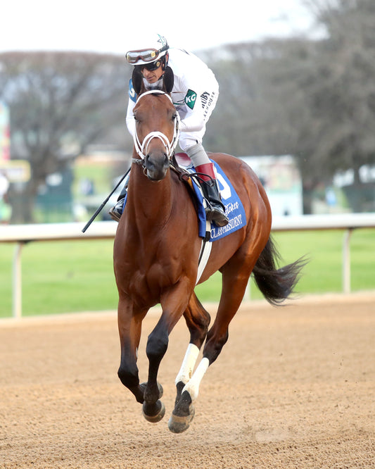 CLASS PRESIDENT - Rebel Stakes G2 - 03-01-26 - R11 - OP - Post Parade 04 - Coady Media - Kurtis Coady Photography