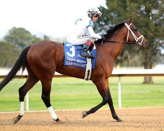 CLASS PRESIDENT - Rebel Stakes G2 - 03-01-26 - R11 - OP - Post Parade 05 - Coady Media - Kurtis Coady Photography