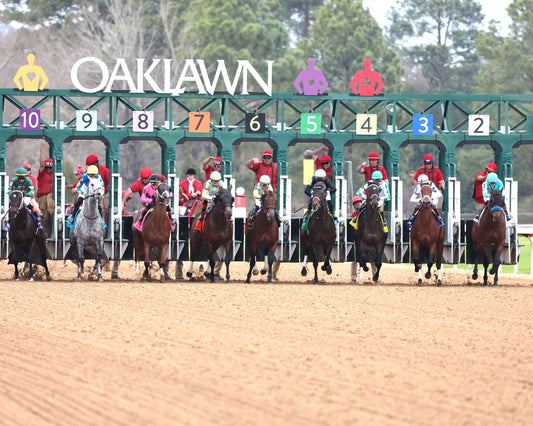 CLASS PRESIDENT - Rebel Stakes G2 - 03-01-26 - R11 - OP - Start 03 - Coady Media - Kurtis Coady Photography