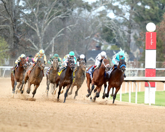 CLASS PRESIDENT - Rebel Stakes G2 - 03-01-26 - R11 - OP - Turn 01 - Coady Media - Kurtis Coady Photography