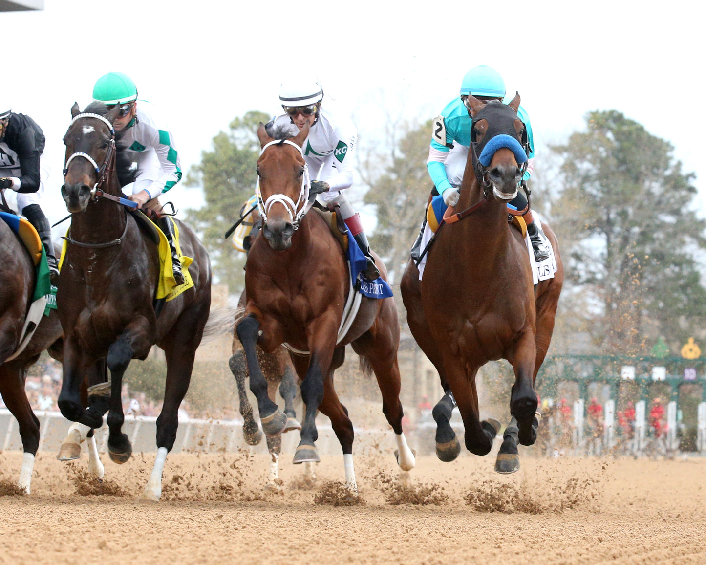 CLASS PRESIDENT - Rebel Stakes G2 - 03-01-26 - R11 - OP - Under Rail First Pass 01 - Coady Media - Kurtis Coady Photography
