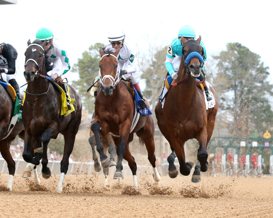 CLASS PRESIDENT - Rebel Stakes G2 - 03-01-26 - R11 - OP - Under Rail First Pass 01 - Coady Media - Kurtis Coady Photography