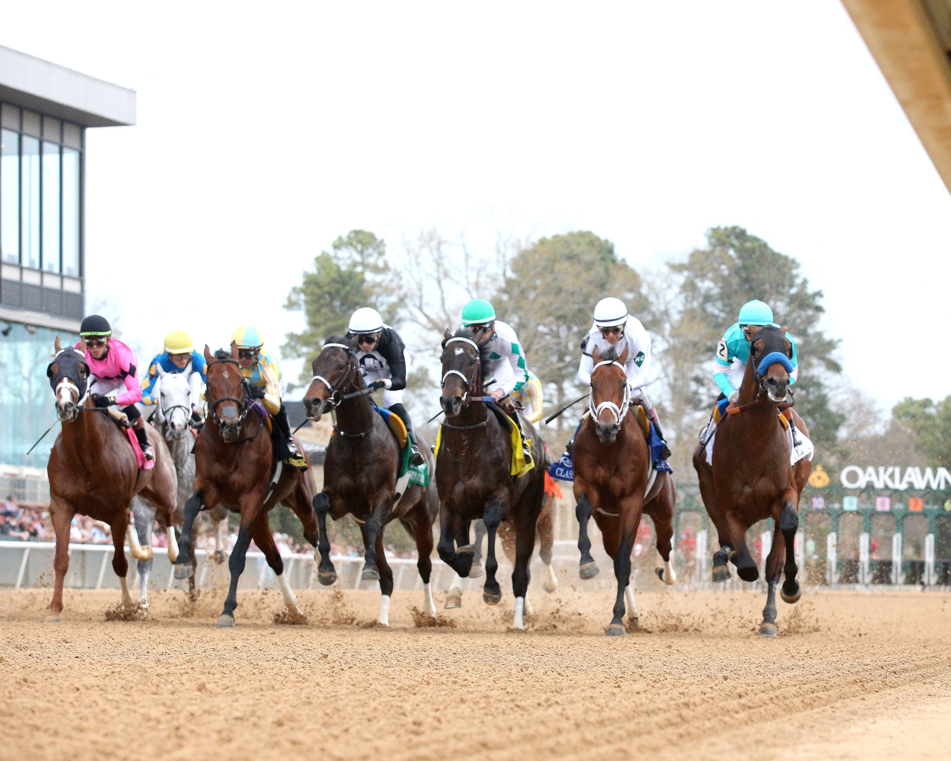 CLASS PRESIDENT - Rebel Stakes G2 - 03-01-26 - R11 - OP - Under Rail First Pass 02 - Coady Media - Kurtis Coady Photography