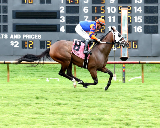 CLOE - 080126 - Race 10 - ELP - Finish 01