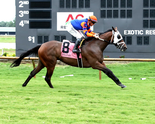 CLOE - 080126 - Race 10 - ELP - Finish 02