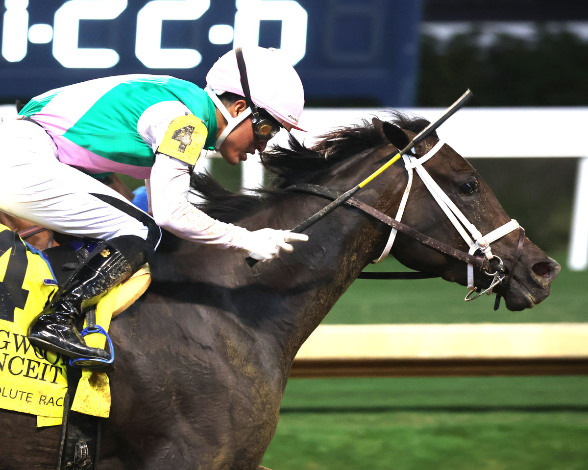 CONCEIT - 091926 - Race 08 - CD Finish 02