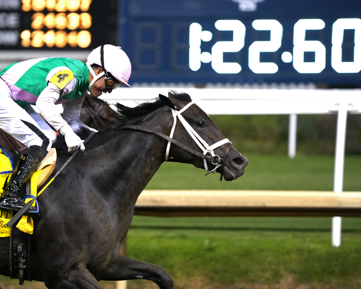 CONCEIT - 091926 - Race 08 - CD Finish 04