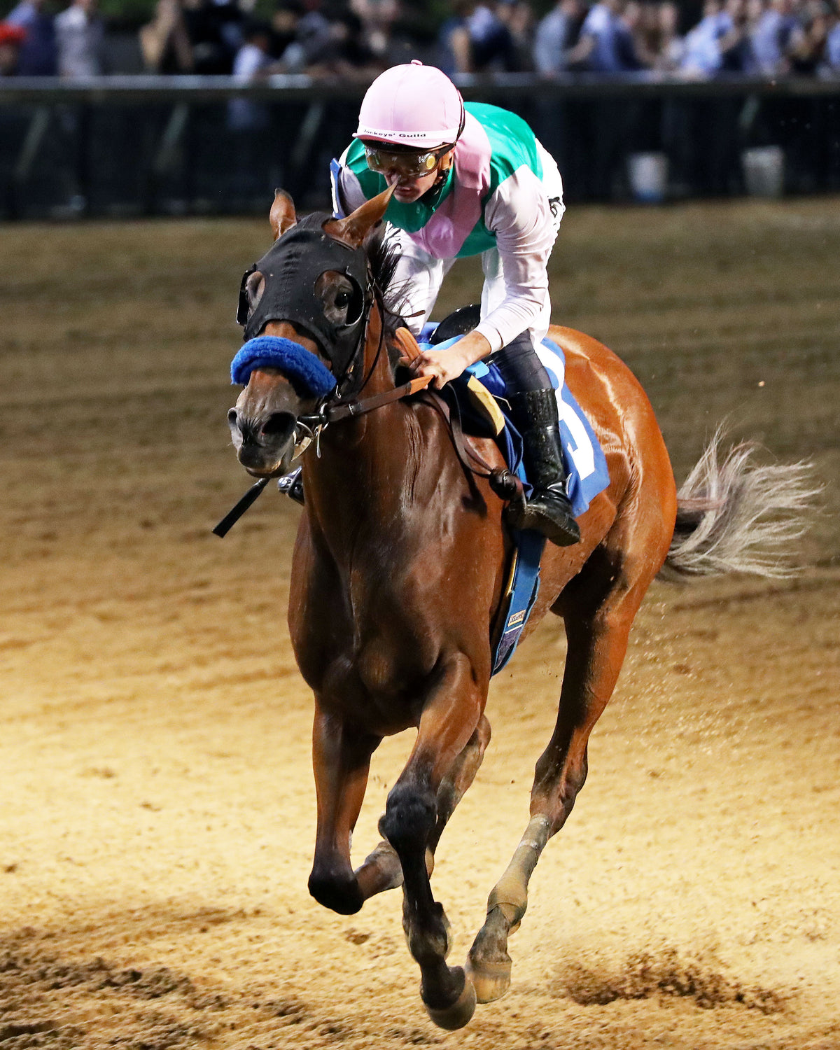 CONSEQUENT - The Seneca Overnight Stakes - 09-19-26 - R10 - CD - Inside Finish 01