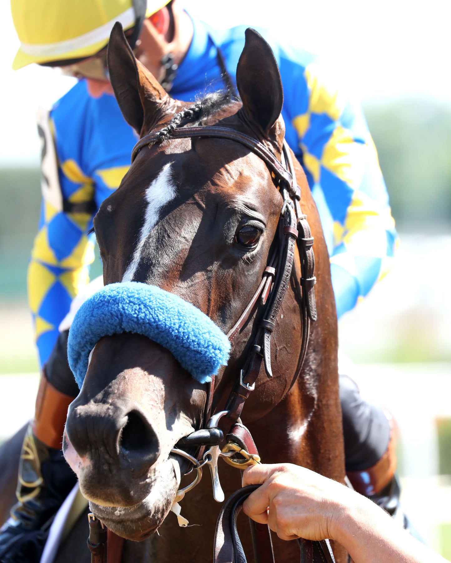 CORNUCOPIAN - 053026 - Race 08 - CD  The Aristides G3 - Come Back 03